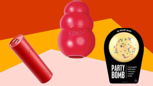 A portable charger, rubber dog toy, and a bath bomb on a colorful background