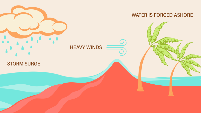 Cartoon infographic of how storm surges cause wind to move towards the shore.