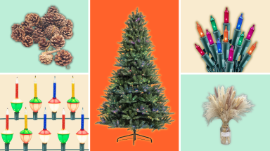 Pinecones, colorful lights, a faux Christmas tree, and pampas grass against a colorful background.