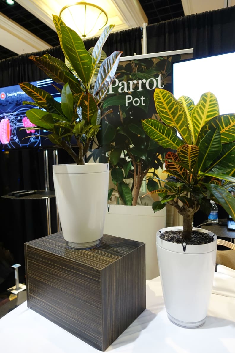 parrot pots.jpg