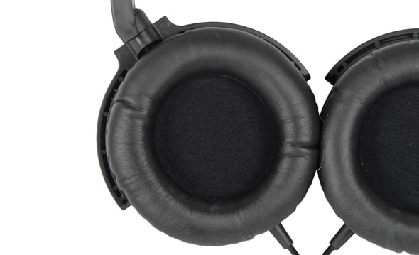 Speaker Image