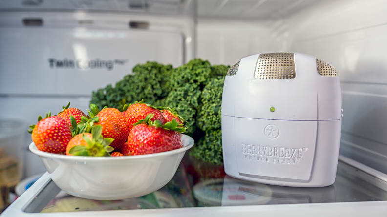 Fridge Fresh