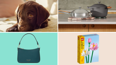 10 best weekend sales at The Farmer's Dog, Our Place, Kate Spade, Target and more.