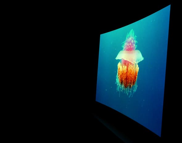 LG_55EA9800_jelly.jpg