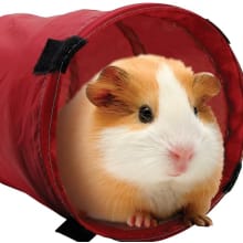 Product image of Living World Small Animal Tunnel
