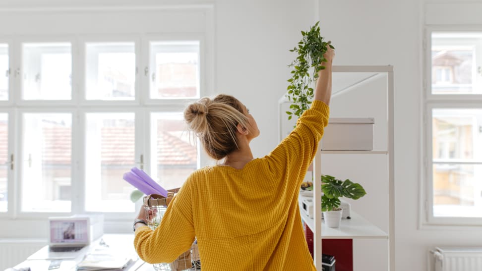 Girl in yellow cardigan hanging a plant on the ceiling