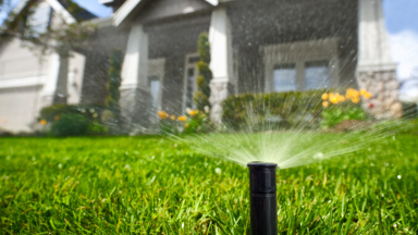 A sprinkler sprays water onto a green lawn.