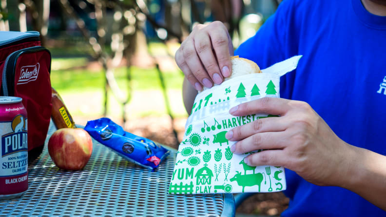 A person is holding a Lunchskins sandwich bag by an outdoor picnic table. On the table, there's a cooler, a can of soda, an apple, and some Oreos.