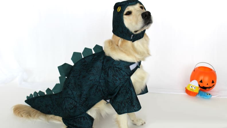 This costume is amazing, if only because it's incredibly awkward.