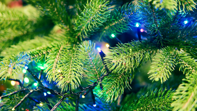 Close up of a Christmas tree with string lights.