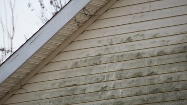 It's important to clean vinyl siding every year from Green algae and mildew