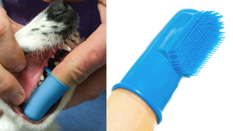 Pet Republique Finger Toothbrush