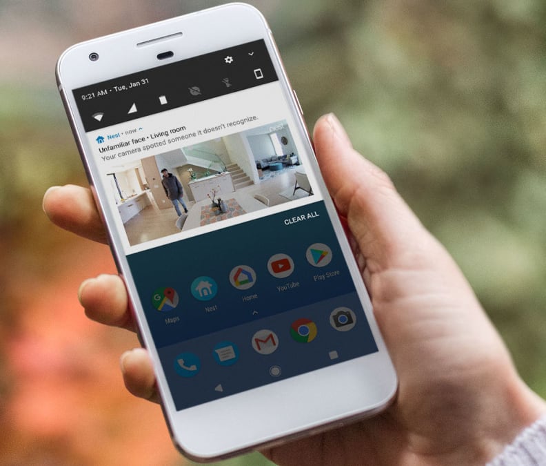 Nest App Notification