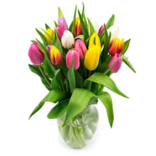 Product image of Tulip Vase Arrangement