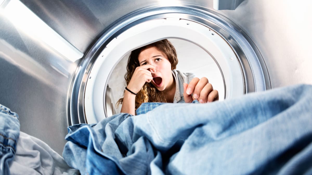 Can You Use Dishwasher Tablets To Clean A Washing Machine Reviewed