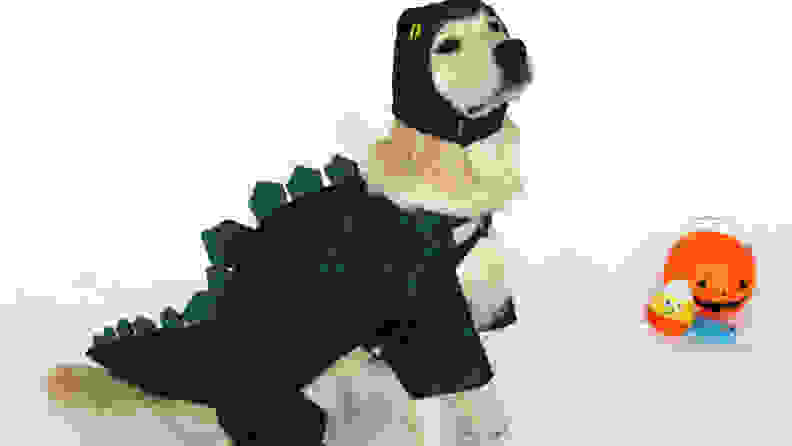 Dog dino