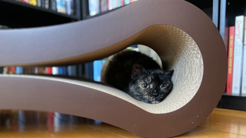 An image of a cat hiding in the Cat Scratcher Lounger.