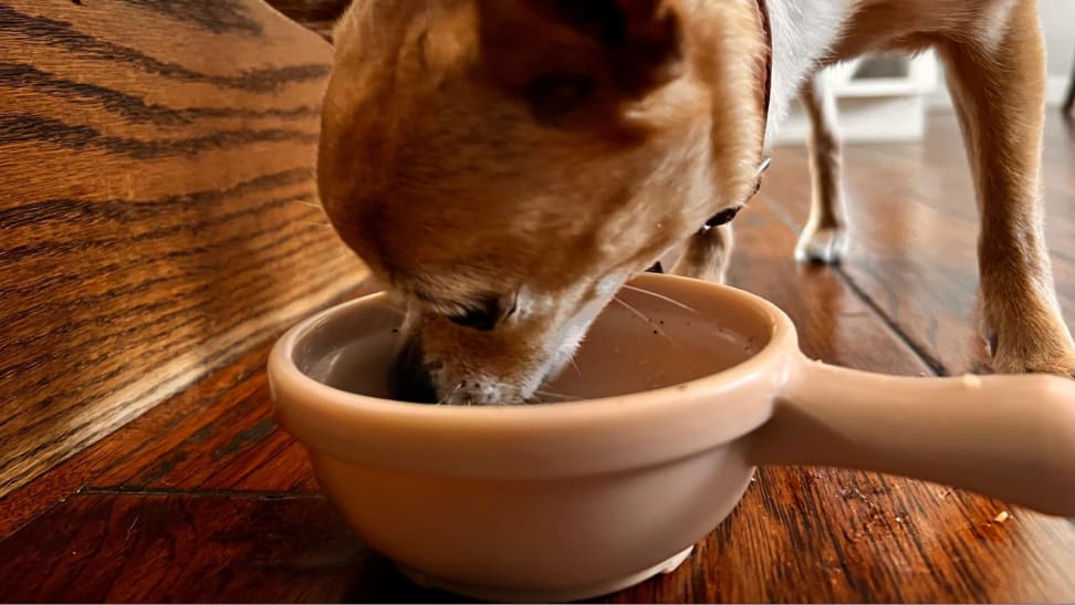 A dog eating food out of a small brown bowl.