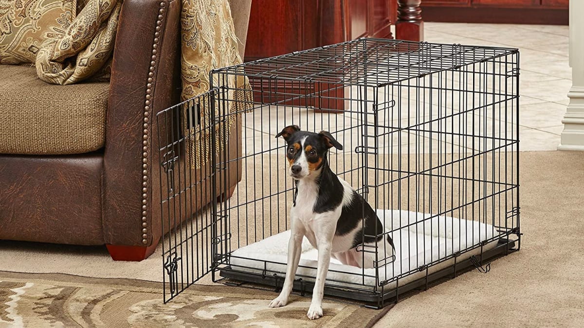 The 9 Best Dog Crates of 2024, Tested and Reviewed