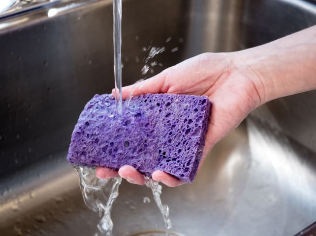 Sponge with water