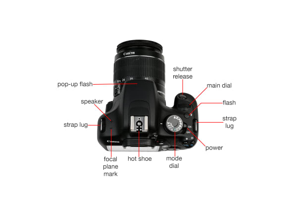 Canon Rebel T5 Digital Camera Review - Reviewed