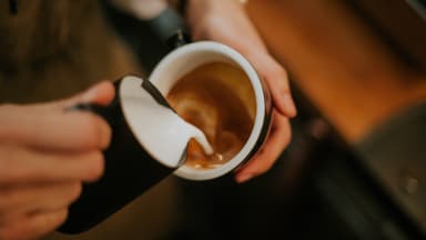 The best milk frothers