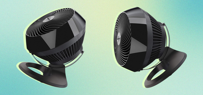 Two black plastic fans.