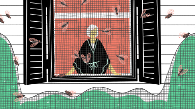 Illustration of person indoors watching cicadas fly outside of their screened-in window