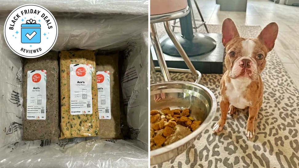 Black friday best sale dog food deals