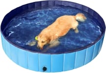 Best type of clearance pool for dogs