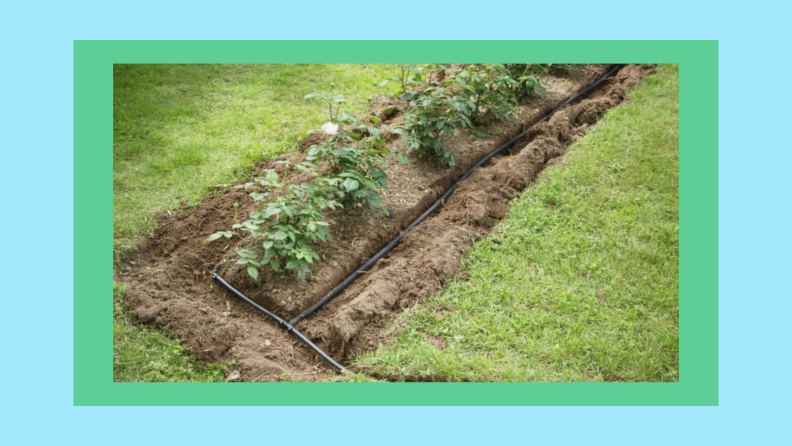 A soaker hose sitting in a garden bed.