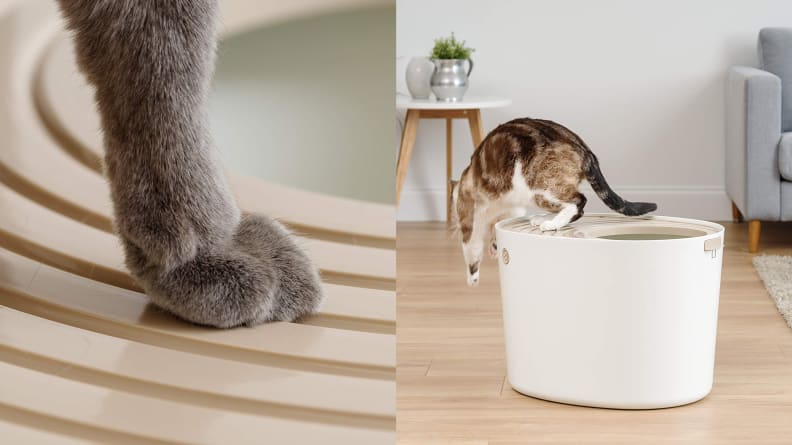 Iris Top Entry Cat Litter Box