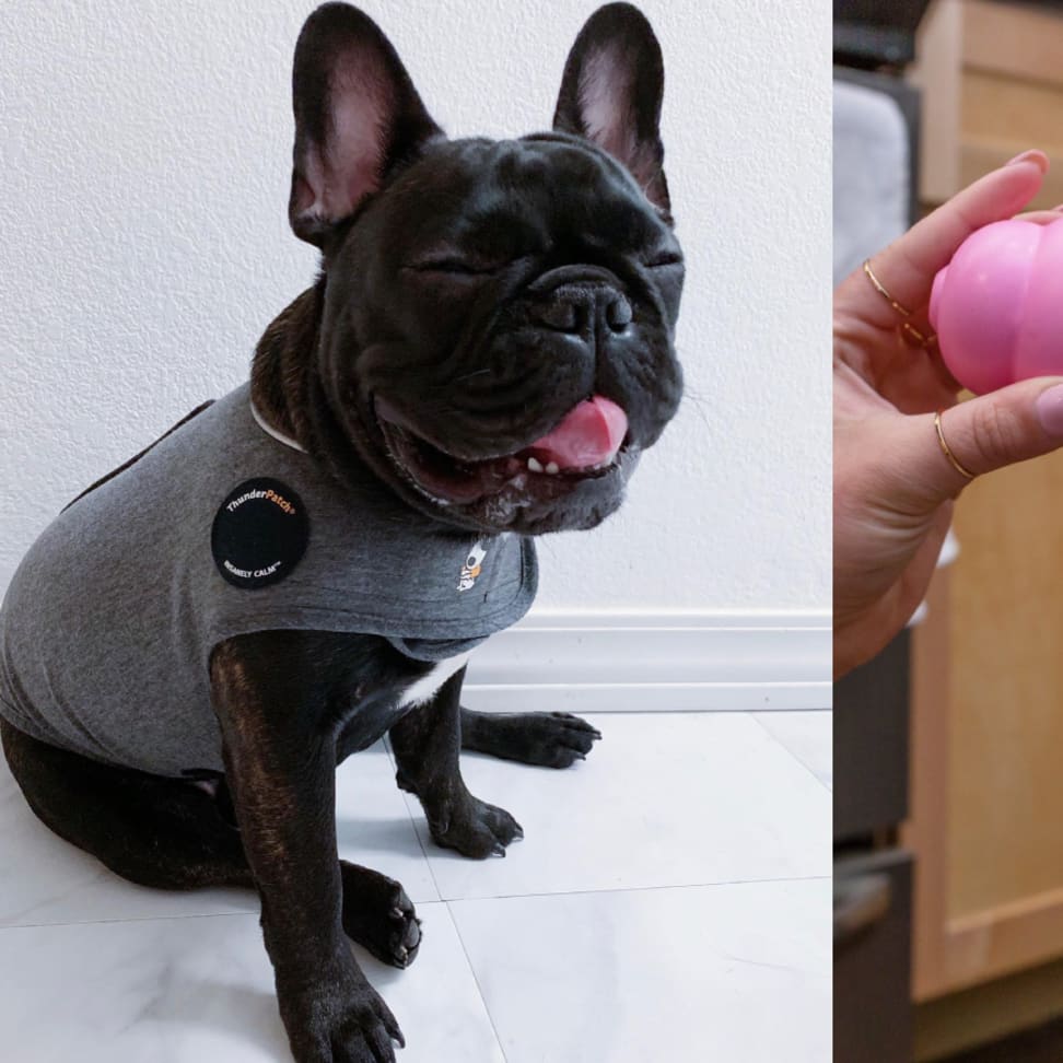 The 15 most popular pet products at Petco Reviewed