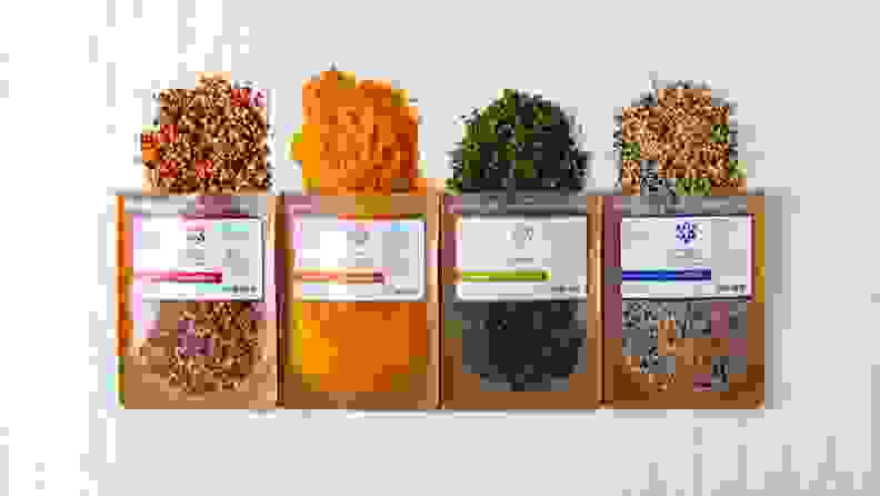 Four bags of spilled Savory Spice's side-by-side.