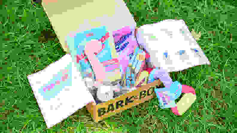 An open BarkBox displaying contents