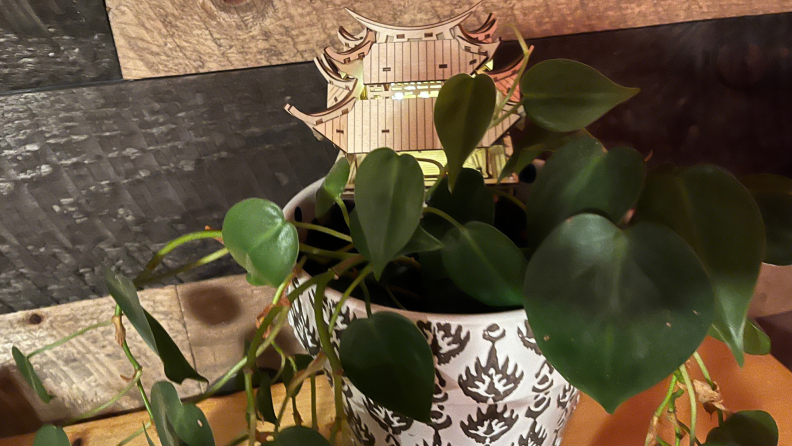 Tiny wooden structure stuck inside of soil in potted plant with hanging green leaves.