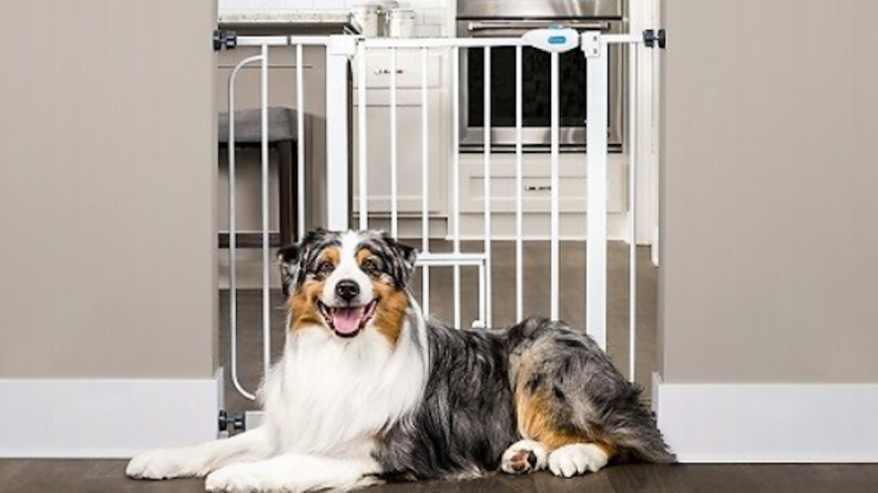 You can use this gate to block off rooms where your dog isn't allowed.
