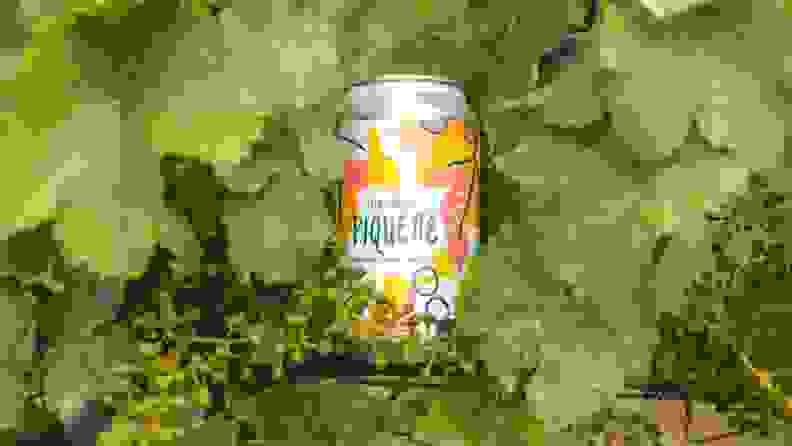 Can of Skin-Contact piquette wine on branch surrounded by leafy greens.