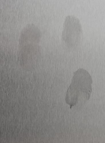 Fingerprints Photo