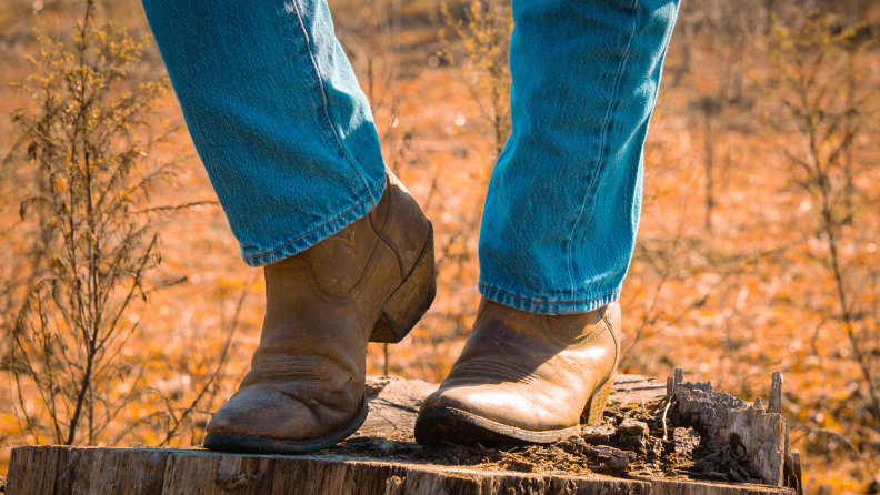 Close-up of a person wearing cowboy boots and blue jeans.