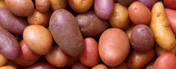potatoes.jpg