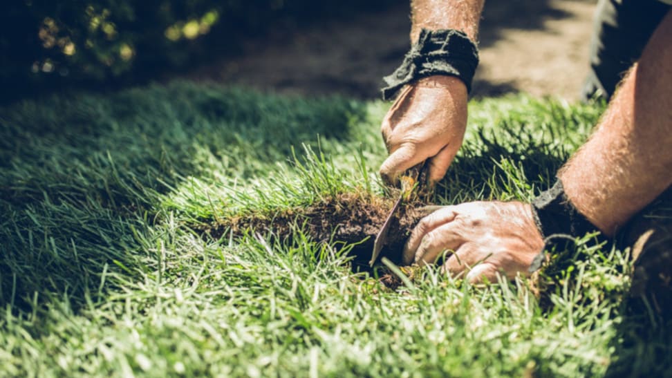 Picture of a person using a manual sod cutter