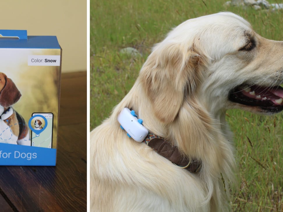 Tractive GPS Dog Tracker 3Gs - Dog Tracker - Pet Safety - Real