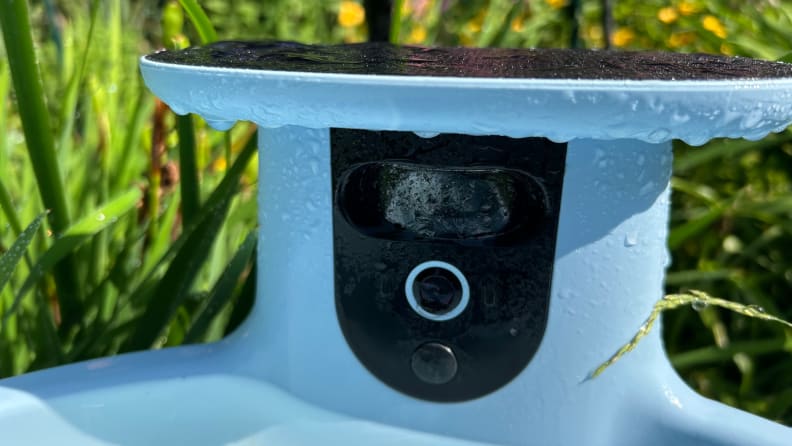 Close up on a camera of A Birdfy Bath Pro stands in a garden