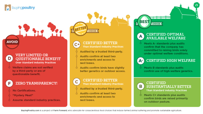 The grading system employed by BuyingPoultry.com