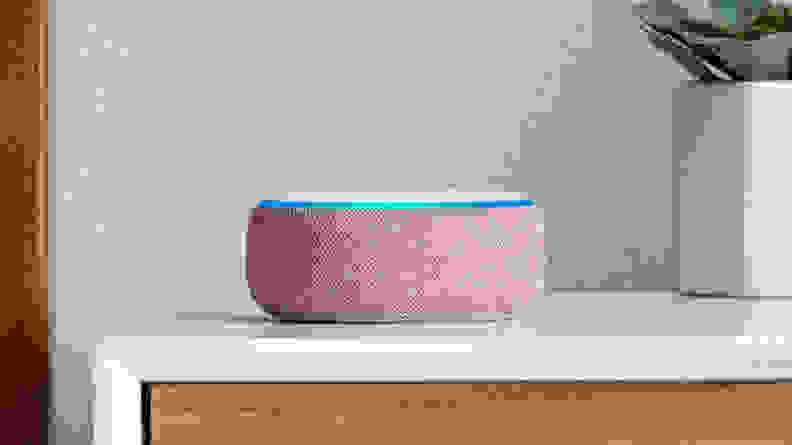 Plum Echo Dot 3 on counter