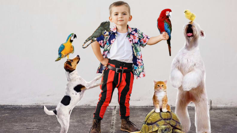 Child dressed up in Ace Ventura costume surrounded by animals.