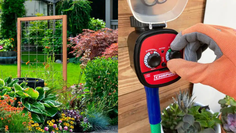 On left, hog wire trellis in garden. On right, person wearing glove adjusts dial on watering apparatus.