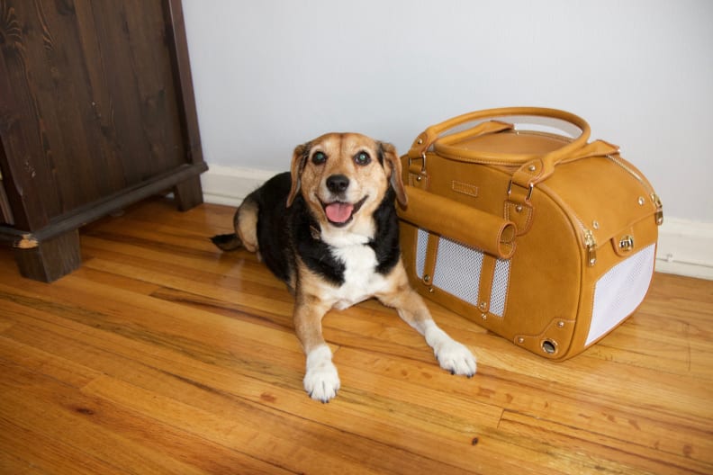 A dog with his tongue out lays next to the PetsHome pet carrier that's resting on a wood floor