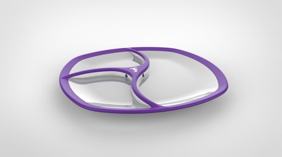 The Fitly SmartPlate